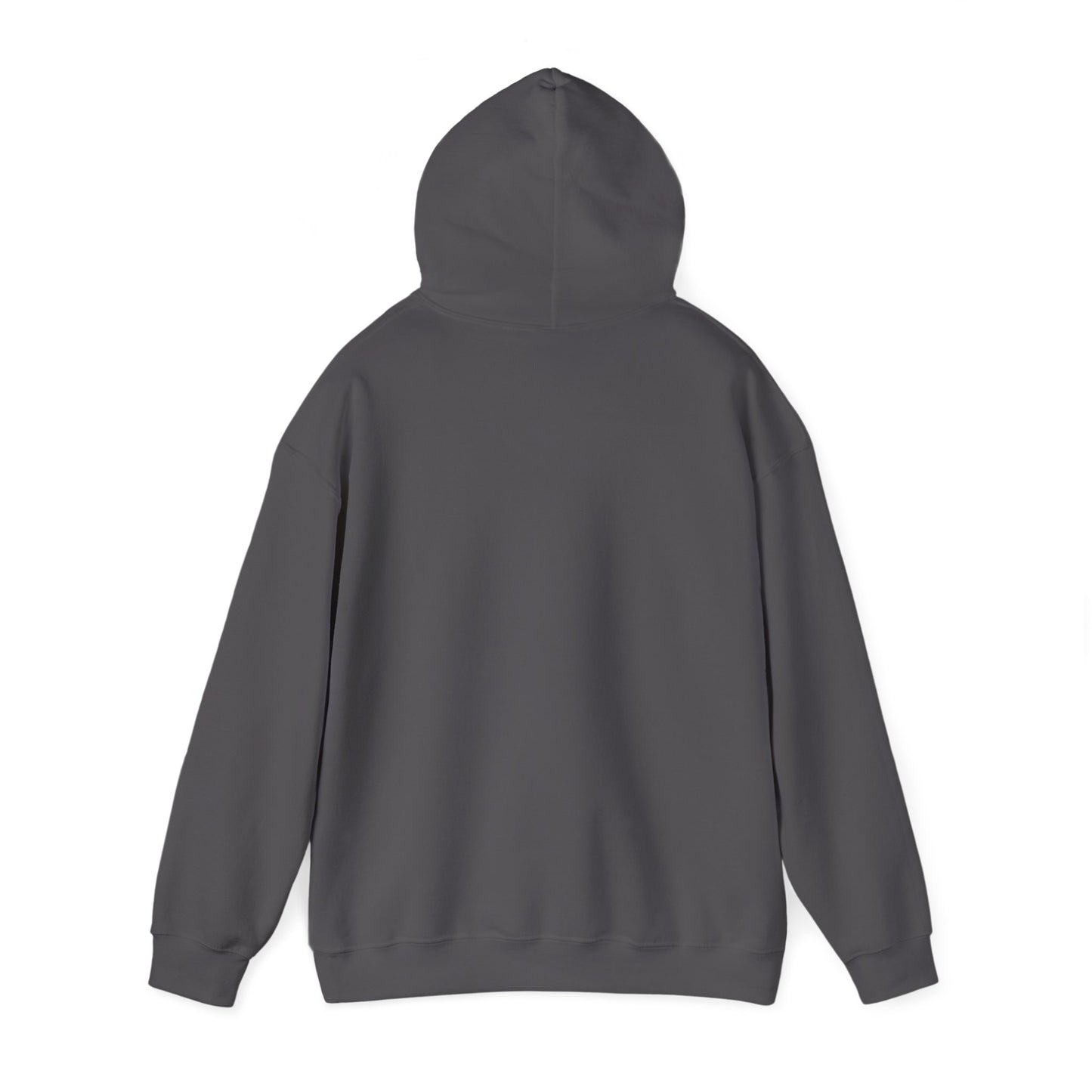 Learning Today Leading Tomorrow Hoodie