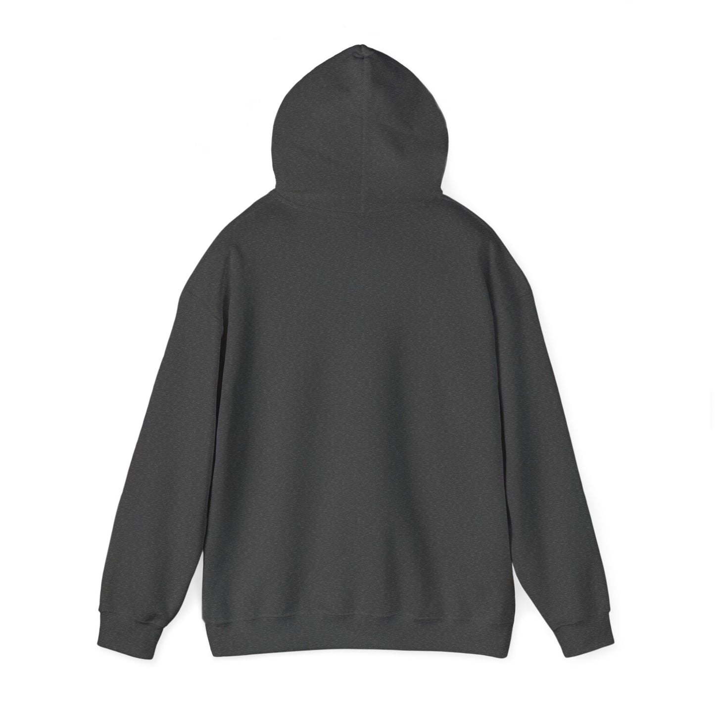 Learning Today Leading Tomorrow Hoodie