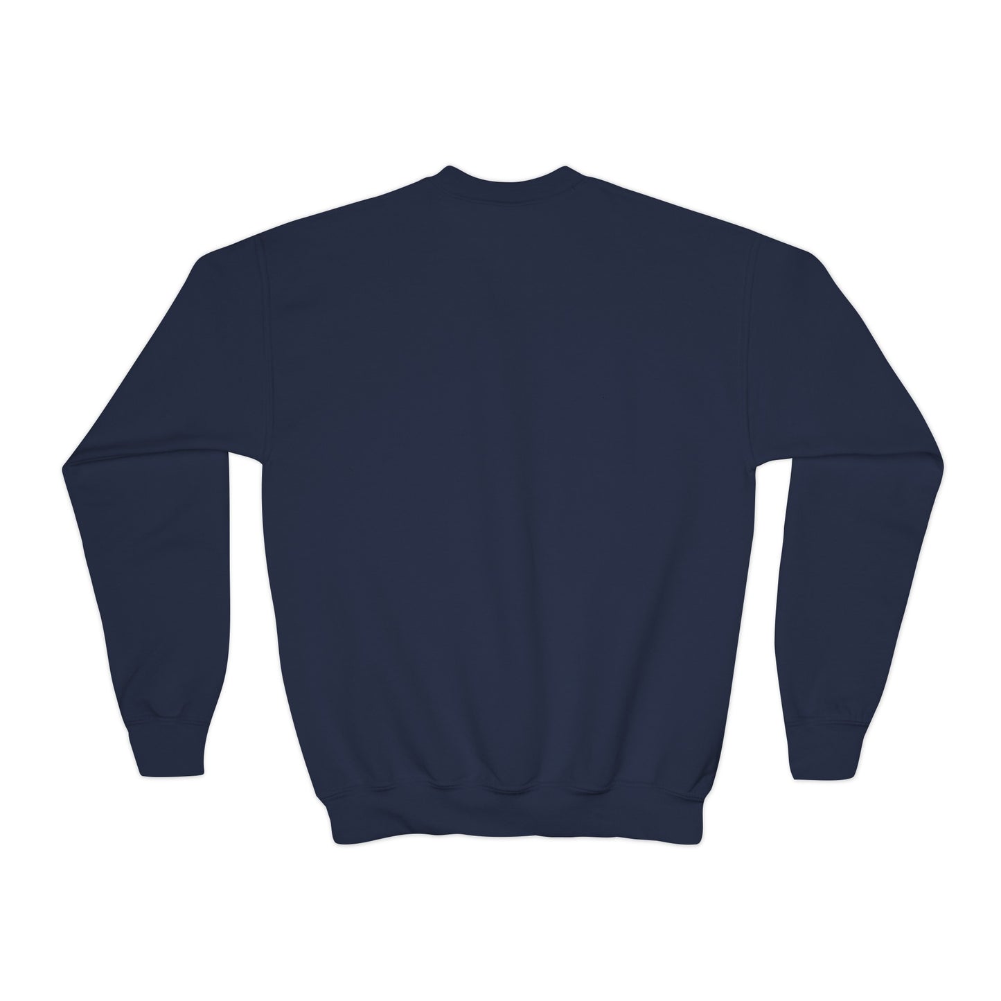 Taylor Swift Reputation Youth Sweatshirt