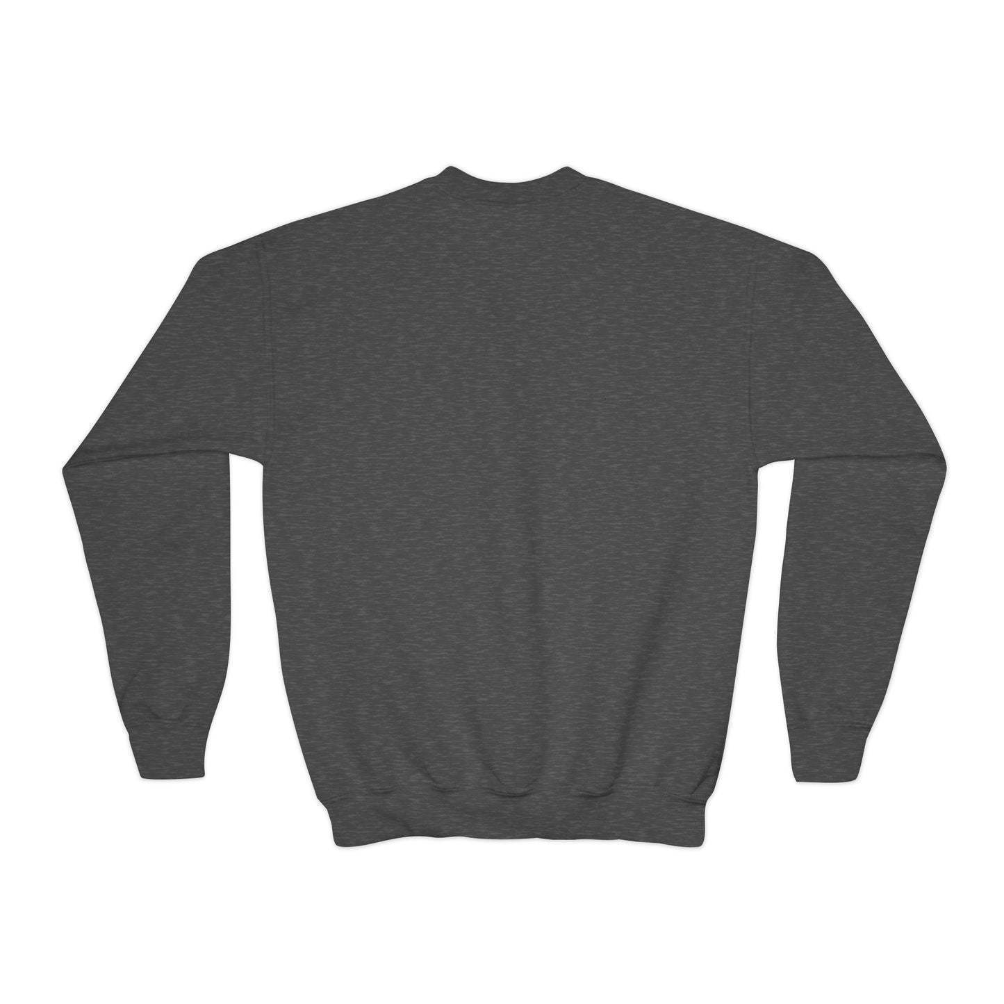 Taylor Swift Reputation Youth Sweatshirt