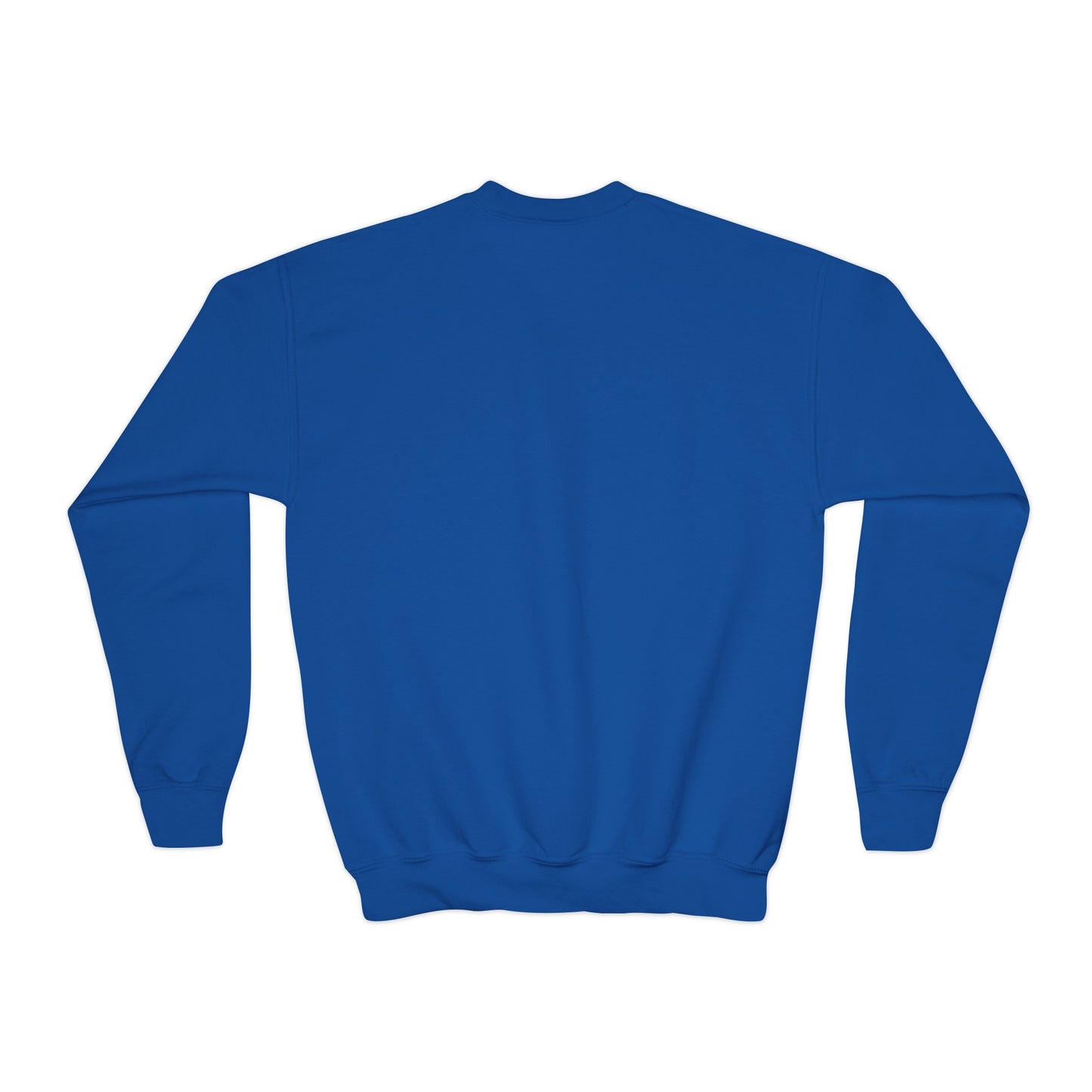 Taylor Swift Reputation Youth Sweatshirt