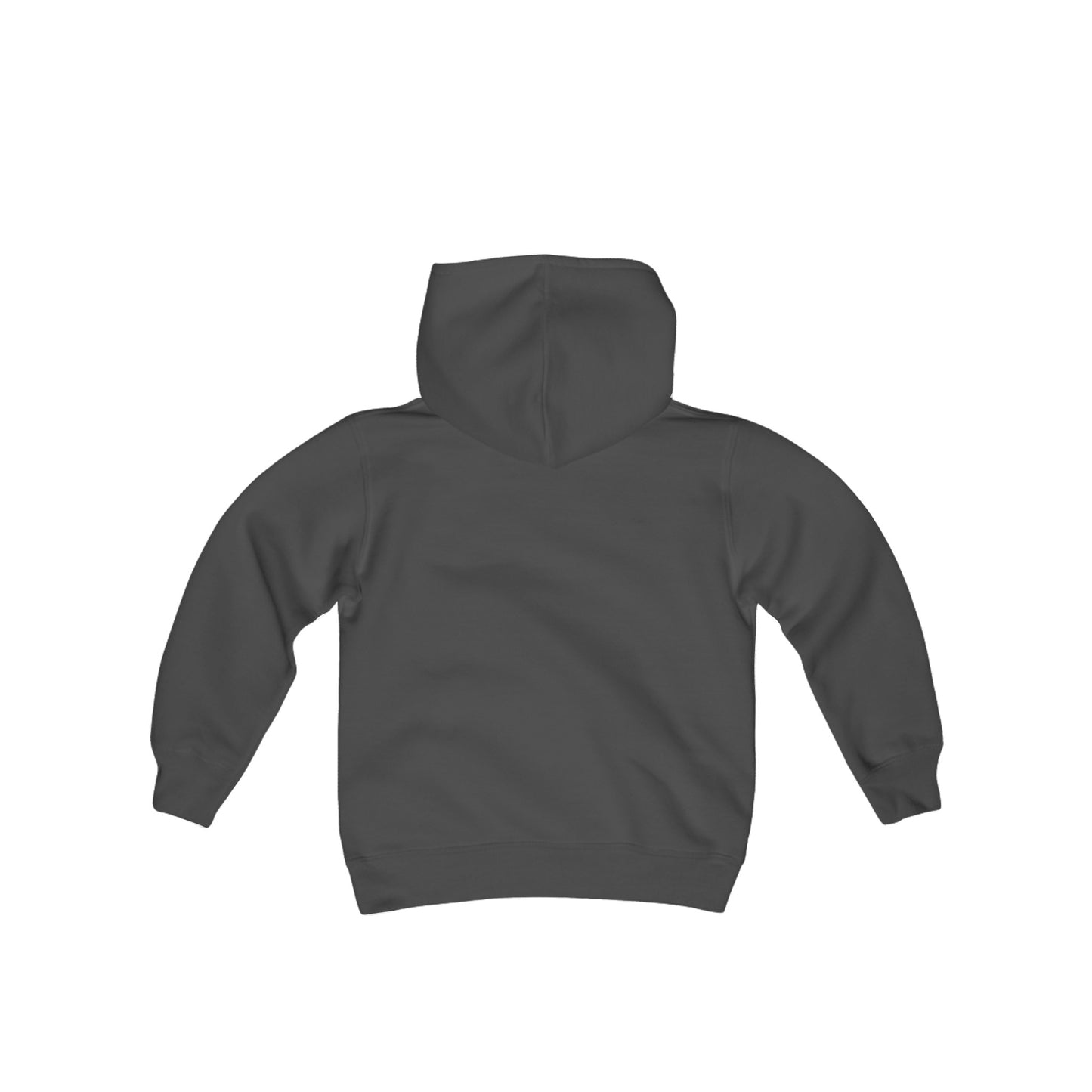 Taylor Swift Reputation Youth Hoodie