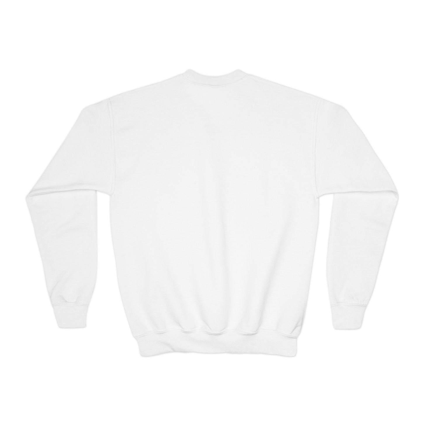 Taylor Swift Reputation Youth Sweatshirt