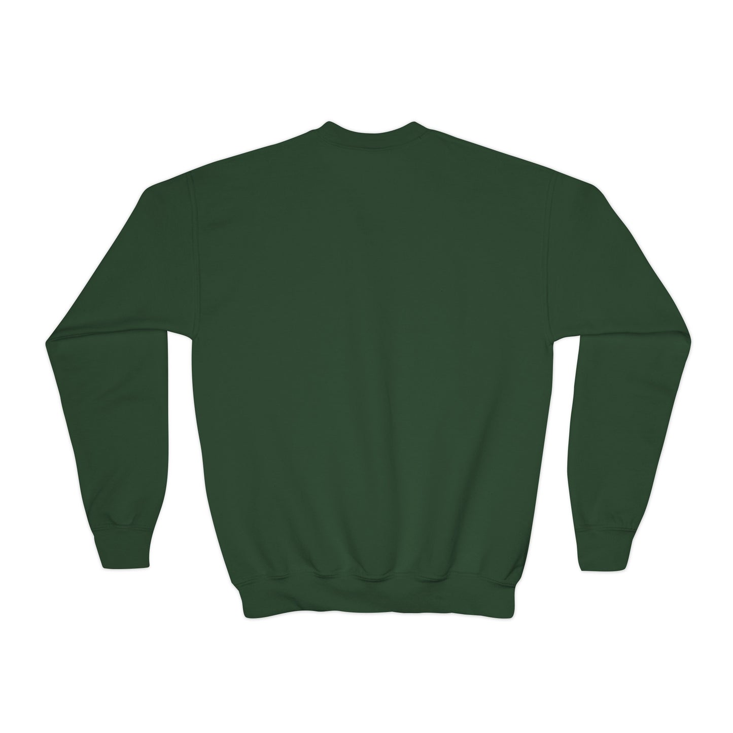Taylor Swift Reputation Youth Sweatshirt