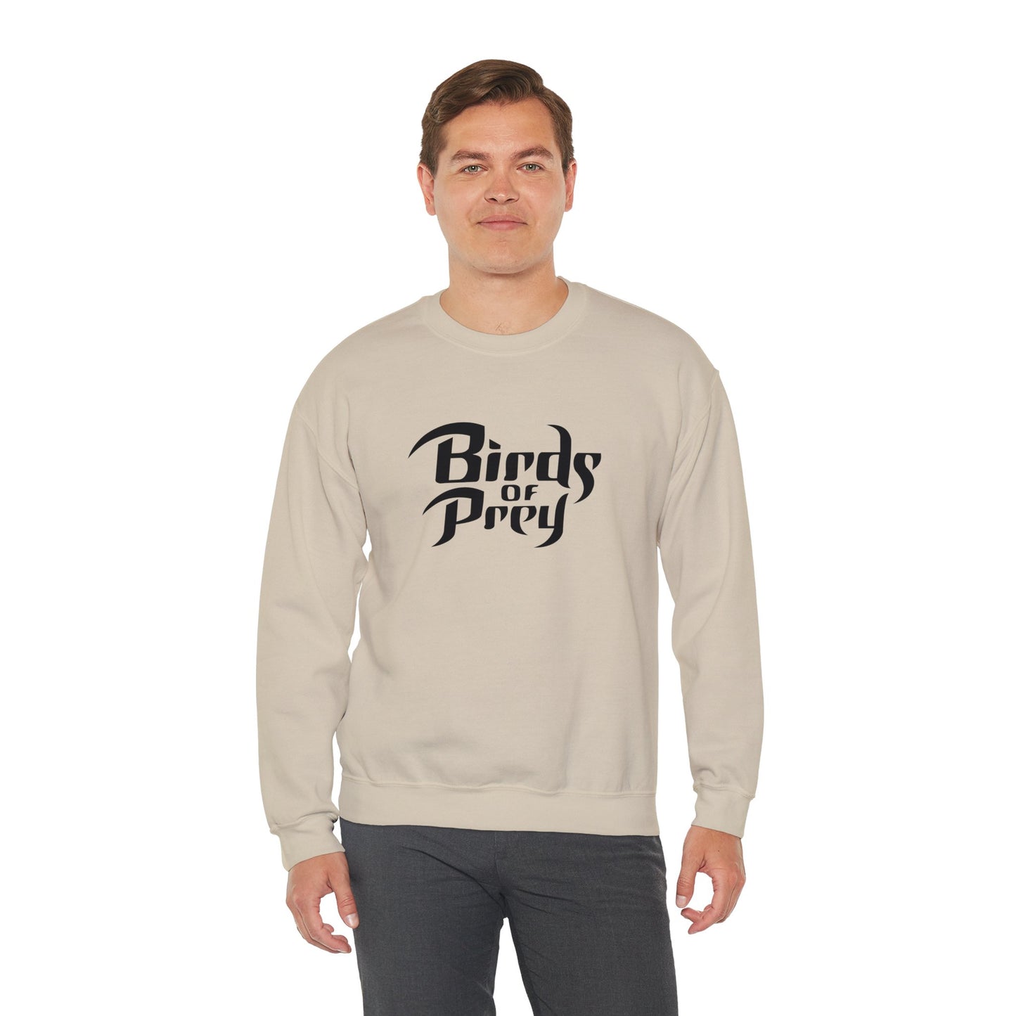Birds of Prey Sweatshirt