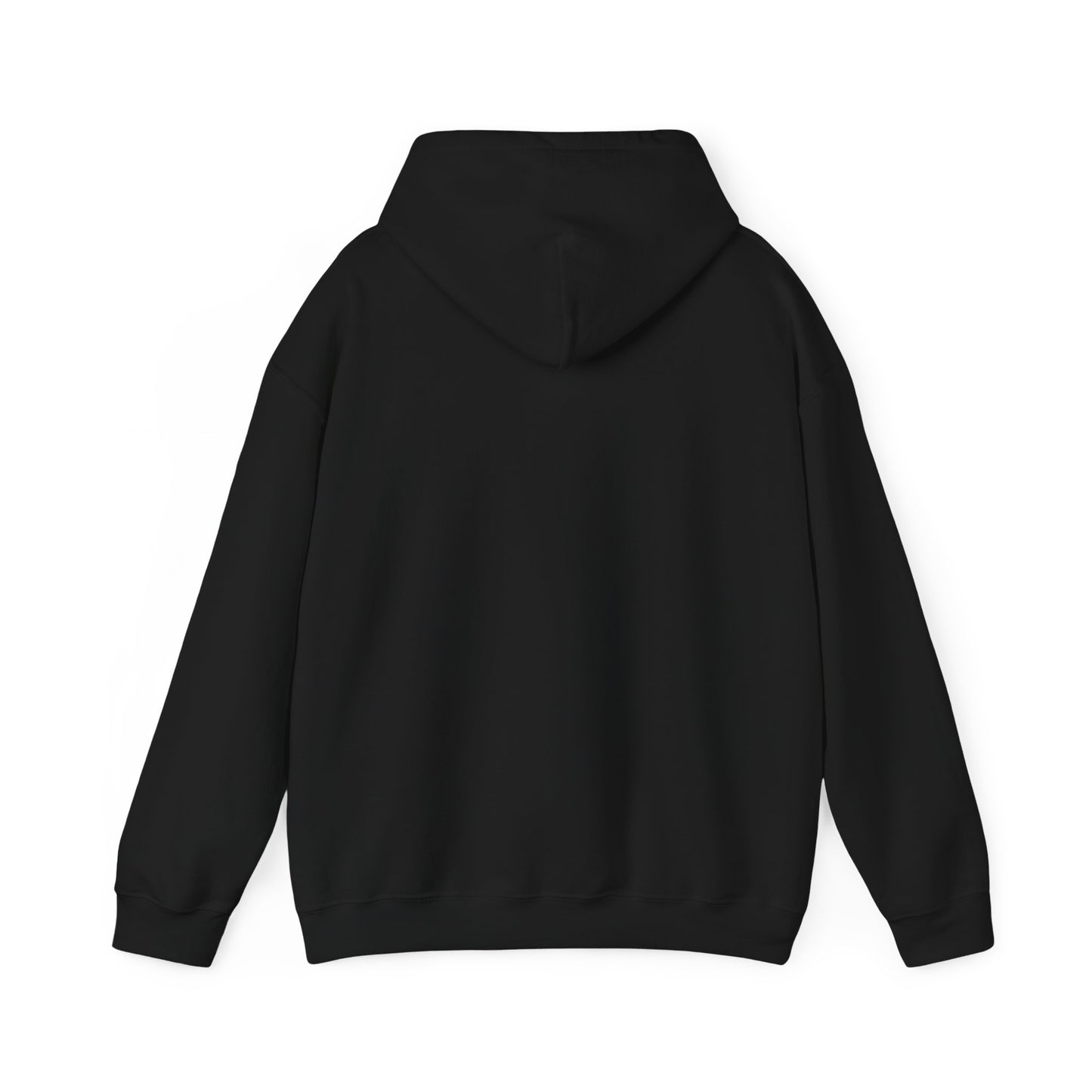 Audi Hoodie
