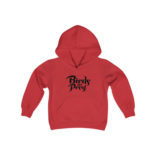 Birds Of Prey Youth Hoodie