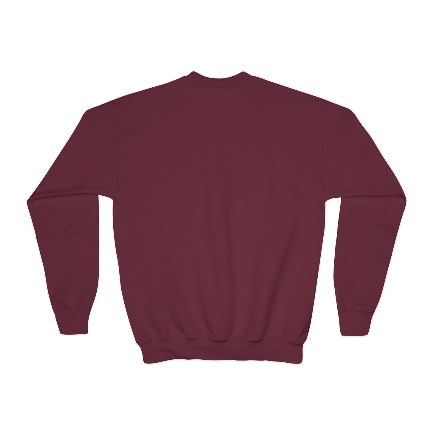 Taylor Swift Reputation Youth Sweatshirt