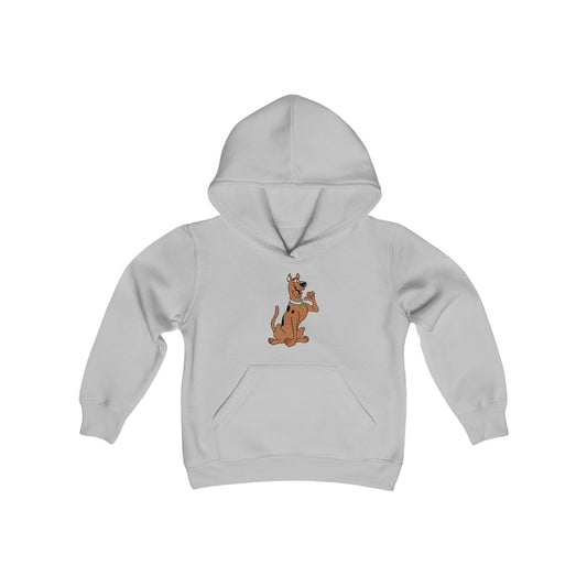 Scooby Doo Youth Hoodie
